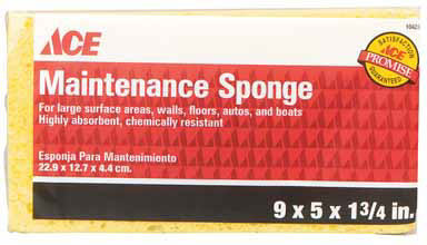 Maintenance Sponge