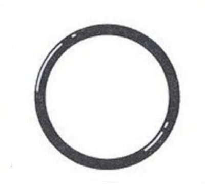 2" Viton PVC SCH80 O-Ring 231
